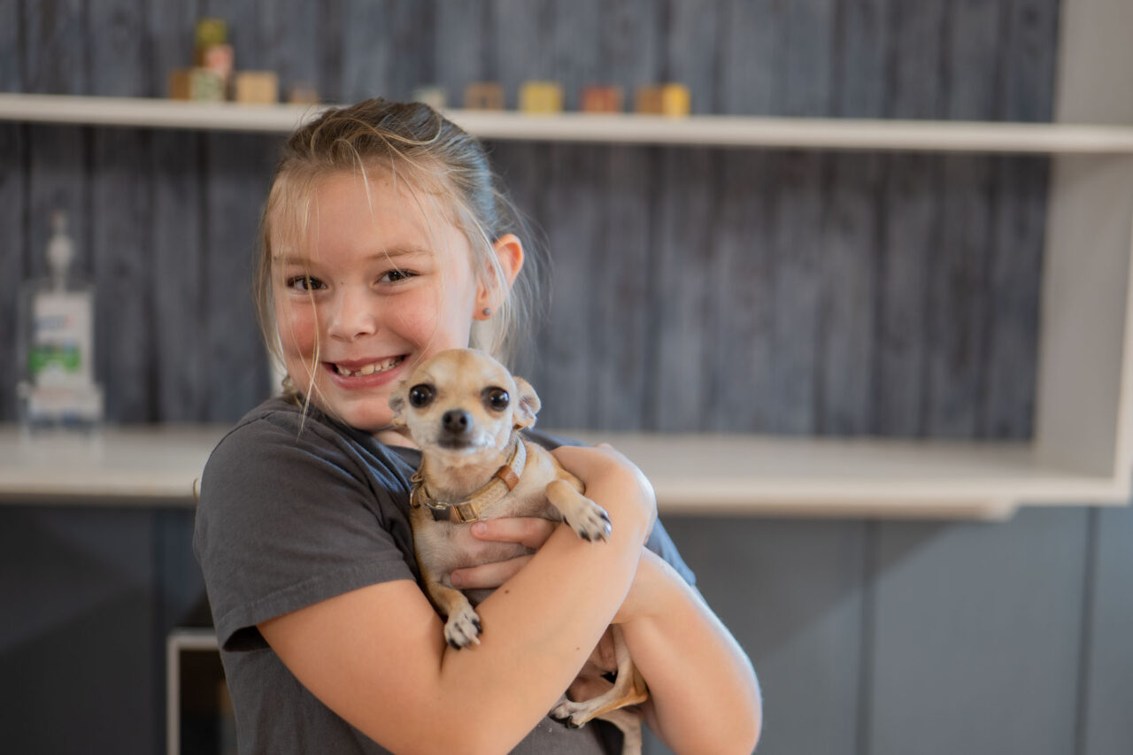 Dog Boarding Little Lake Pet Lodge