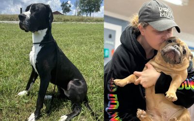 July 2025 Pet of the Month: Zara & Nova Savage