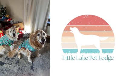 August 2025 Pets of the Month: Callie & Thor from La Follette, TN