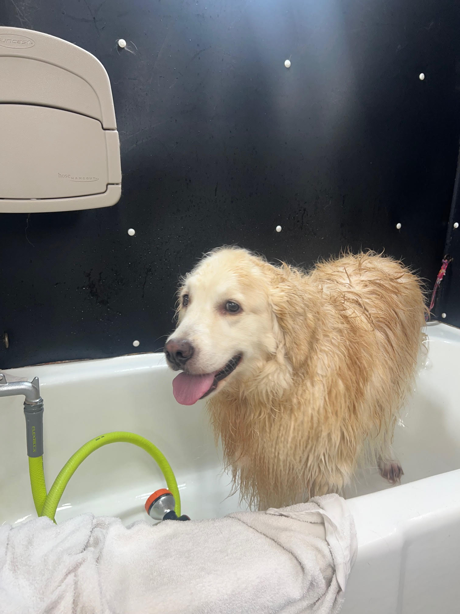 photo2 Jacksboro TN Dog Boarded at Little Lake Pet Lodge